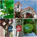 빨간펜션 이미지