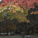 무념(無念) 이미지