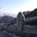 남산인2 이미지