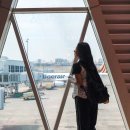 김포교통(주) | 가오슝 항공권 타이거에어 타이완 김포공항 국제선 출국 입국 후기