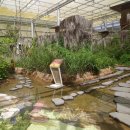 우포 잠자리 나라 이미지