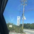 씨유양주한국병원점 | [유기견 입양 후기] 양주 한국동물구조관리협회 입양 준비물 및 절차