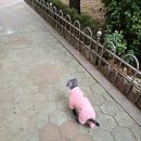 가온동물의료센터 이미지