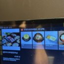 설문동본갈비 화곡 이미지