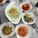 완도맛집:)완도회타운에서 전복한치물회먹고왔어요!