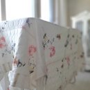 적당한 날 이미지