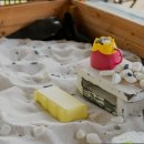 리우네단체키즈풀빌라 이미지