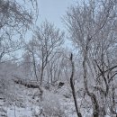 삼거리골재 | [민주지산] BAC100대 명산 ㅣ 1일 3산, 충북 영동군, 전북 무주군, 경북 김천시, 삼도봉 명산 ,백두대간...