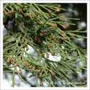 복자여자고등학교 이미지