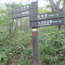 지리산 오리
