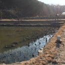 법전마트