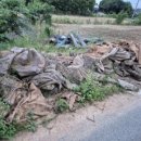 늘푸른환경 이미지