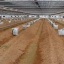 효사과원 | 주간농사정보(제7호,2016.2.14 ~ 2.20.)제공