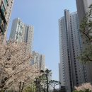 (주)부동산중개법인 오케이 이미지