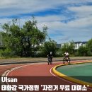 바이크마스터 | 울산 태화강 국가정원 무료 자전거 대여소 및 교육장 두발자전거 마스터 솔직 후기 태화강 필수 코스 추천