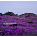 유곡1리 마을회관 이미지