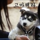 지금 이미지