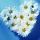 아름다운기억 이미지