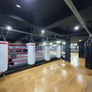 WS복싱클럽 이미지