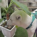 비시동경로당 | 7월의 주간일기 -4 (🔺 치과 정기 검진, 노후 준비하기, 헤어질 결심, 샐러드 박스)