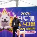 제30회진도군전람회관외성견암조 대상 백희 입니다 즐감하세요 이미지