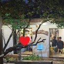 연애 프로그램 같은 대구 미팅 파티, 심쿵파티 이미지