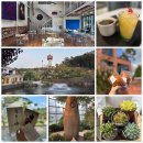 용창정비 | 용인 여행 꿀템! 용인투어패스로 알차게 즐기기