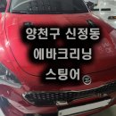 일조약품 | 스팅어 출장 에바크리닝 양천구 신정동 작업후기(악취 제거)