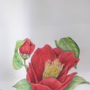 아미동 주민센터 이미지