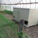 에이스 켄넬 이미지