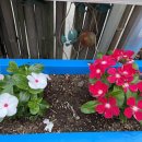 중앙장모텔 이미지