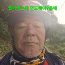 늦은 백두대간 답사산행.129 (새벽요리 치료후 처방약 싸리 산밤수확) 이미지