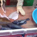 회 달인 이미지