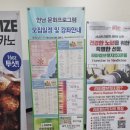 언남문화체육센터 네이버블로그