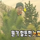 달디단과일