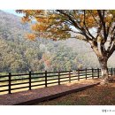 풍경이 머무는 곳 이미지