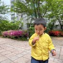 23개월 24개월 두돌 아기 성장 발달 사항 - 신체, 키, 몸무게, 머리둘레, 옷 신발 사이즈, 생활 스케줄...