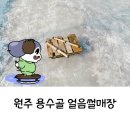 아기와 함께 원주 용수골 얼음썰매장 방문 후기