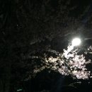 홍콩반점부산구남역점 이미지