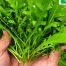 스위트마켓 이미지