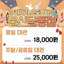 울산 달동 무인 키즈카페 대관 후기｜우리끼리 스포츠마을 솔직 리뷰