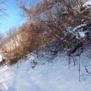 사선대농장 이미지