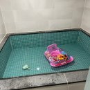 부곡목욕탕 | 경남 가족탕 :: 아기랑 키즈스테이호텔 인 부곡 인디언룸 숙박 후기