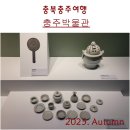(유)백제건설기계 | 충북충주여행. 문화예술의 중심지 중원의 역사, 충주박물관 . 아이와 함께 꼭 가봐야 할 역사뮤지엄