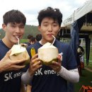 코코넛제주 이미지