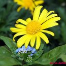 풍경(오월의 이야기 이미지