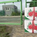 숙이농장 이미지