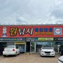 썬스타 | 군산 비응항 쭈꾸미 배낚시 썬스타호 후기 9월 조황