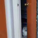 멍냥멍냥 미용실 이미지