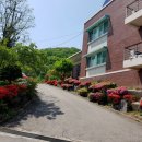 진행정사 이미지